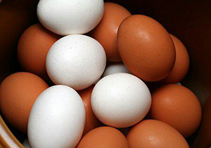 Photo of تخم مرغ گران شد