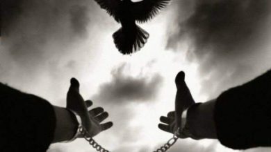 Photo of آزادی 3 زن زندانی جرائم غیرعمد
