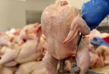 Photo of قیمت مرغ در مجازی ۵۹ و هزار ۸۰۰، در بازار بیش از  ۶۵ تومان