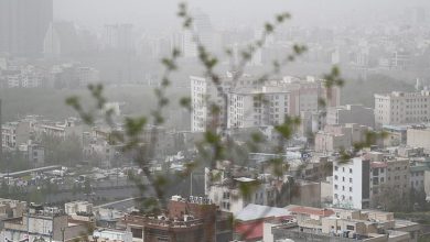 Photo of 48 هزار هکتار از اراضی همدان مستعد گرد و غبار