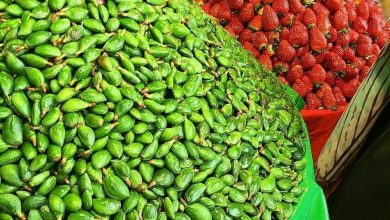 Photo of ورود میوه‌های نوبرانه به بازار